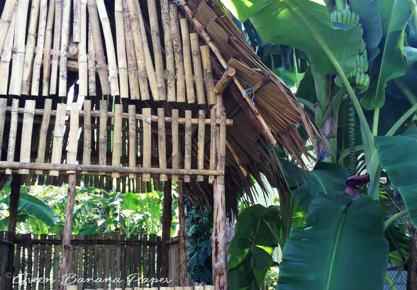 Why Kosrae?